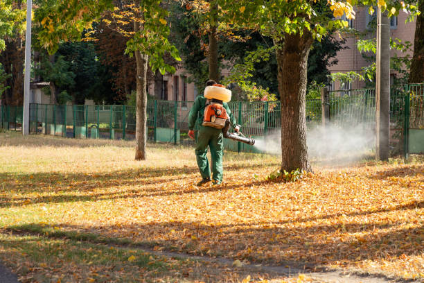 Pest Control for Restaurants in West Point, VA