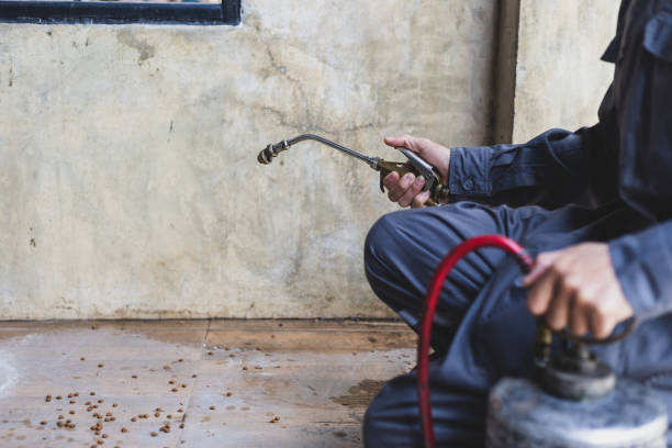 Best Pest Removal Services  in West Point, VA
