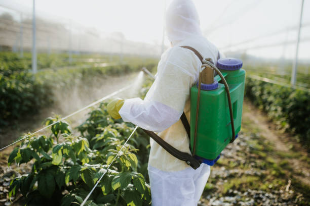 Wildlife Control Services in West Point, VA